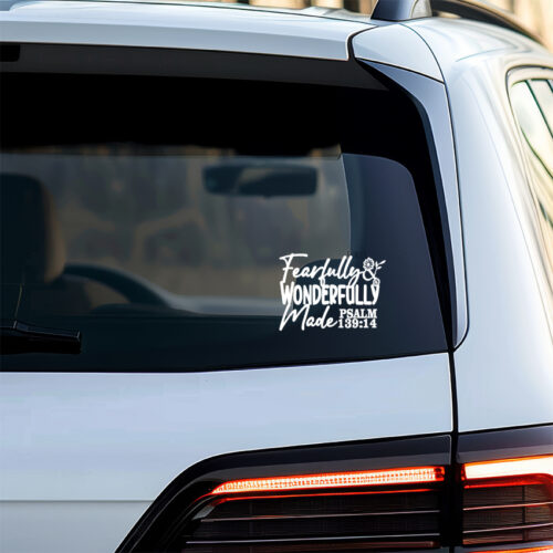 Fearfully and Wonderfully Made - VS004A